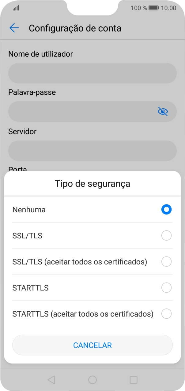 Prima SSL/TLS para ativar a função.