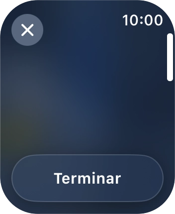 Prima Terminar.