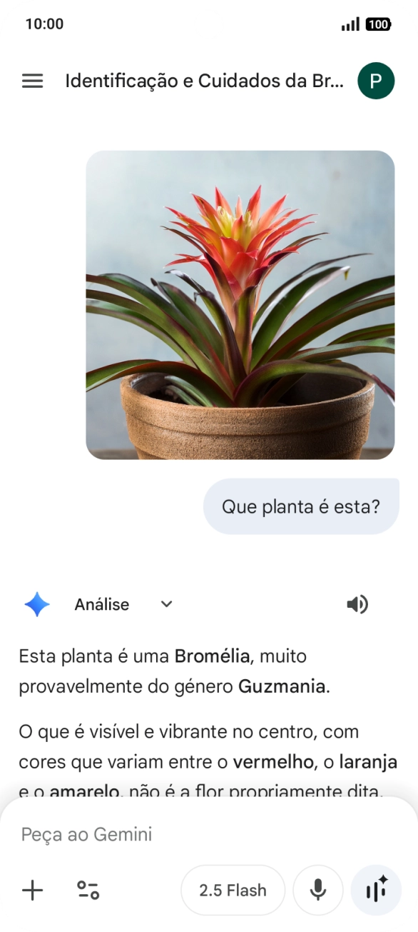 Siga as indicações no ecrã para escrever ou ditar a pergunta pretendida. Pode também anexar imagens ou documentos e fazer perguntas a respeito destes.