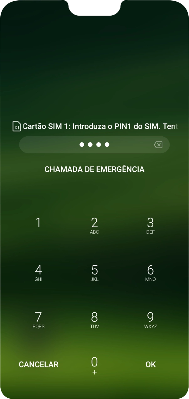 Se solicitado, deve introduzir o código PIN e premir OK.