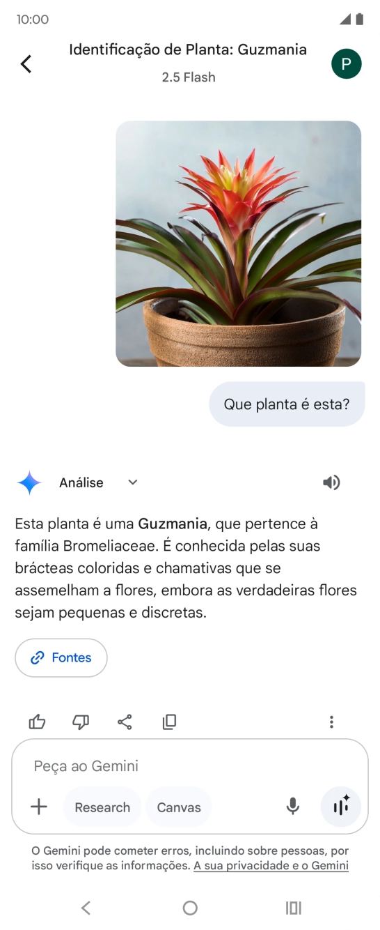 Siga as indicações no ecrã para escrever ou ditar a pergunta pretendida. Pode também anexar imagens ou documentos e fazer perguntas a respeito destes.
