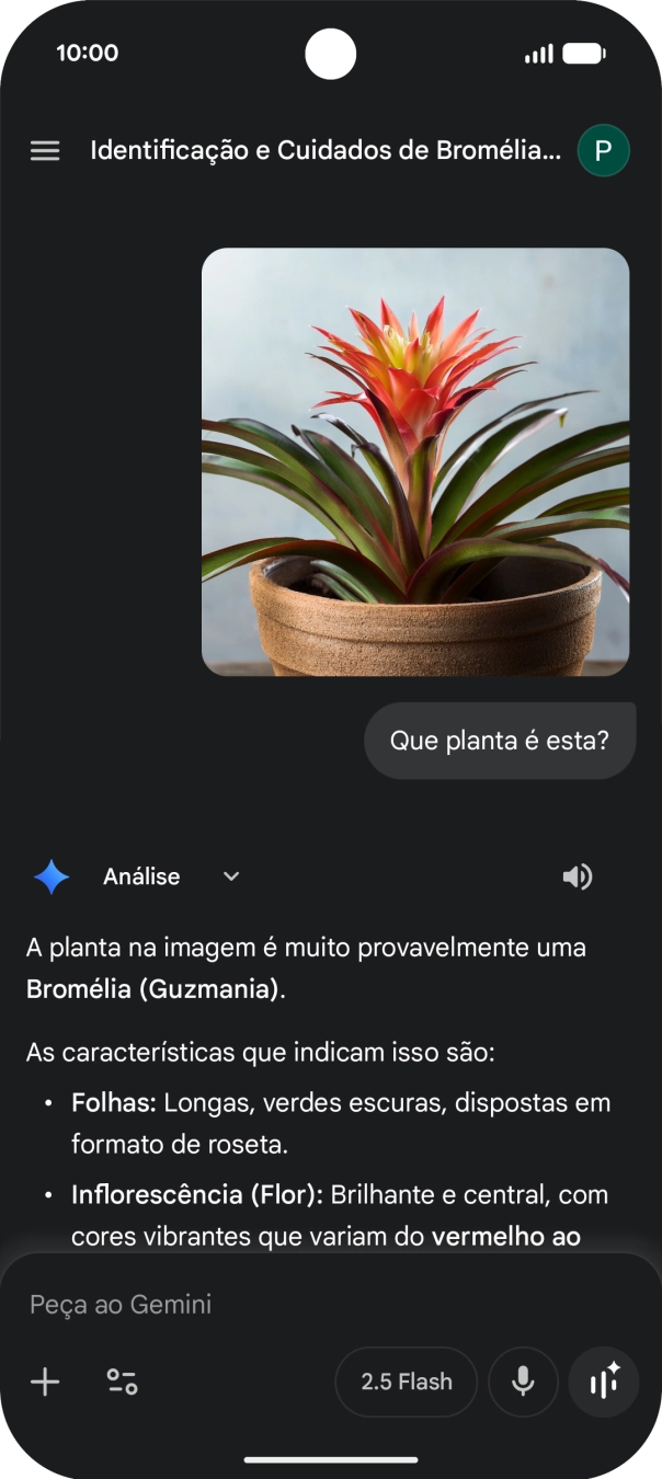 Siga as indicações no ecrã para escrever ou ditar a pergunta pretendida. Pode também anexar imagens ou documentos e fazer perguntas a respeito destes.