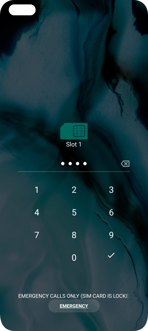Key in your SIM PIN and press the confirm icon. The default SIM PIN is 0000.
