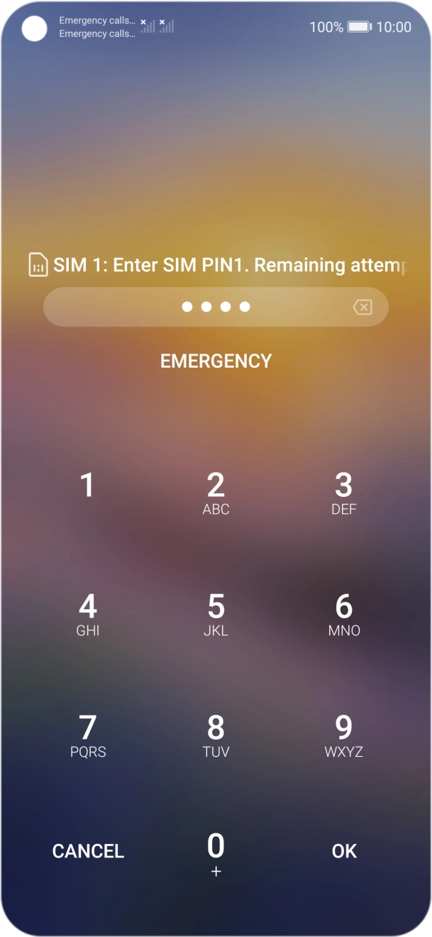 Key in your SIM PIN and press OK. The default SIM PIN is 0000.