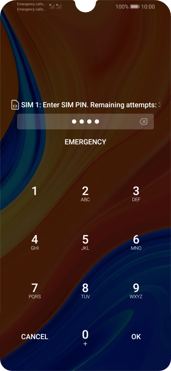 Key in your SIM PIN and press OK. The default SIM PIN is 0000.