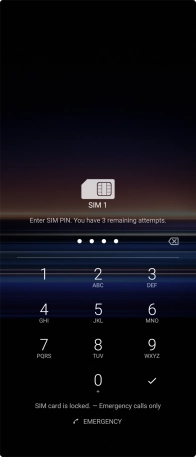 Key in your SIM PIN and press the confirm icon. The default SIM PIN is 0000.
