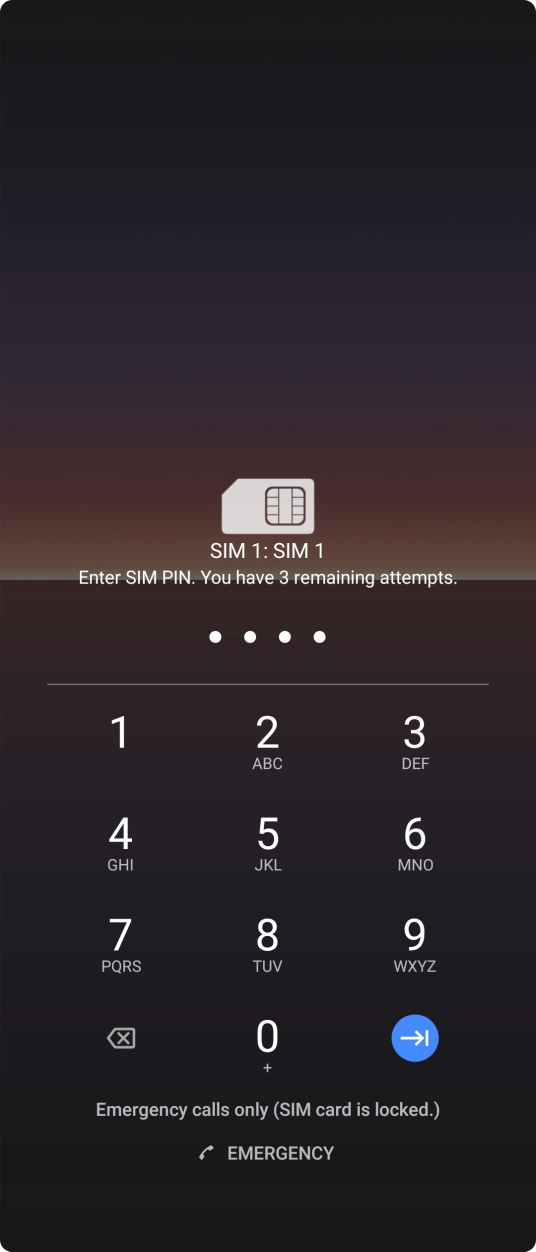 Key in your SIM PIN and press the confirm icon. The default SIM PIN is 0000.