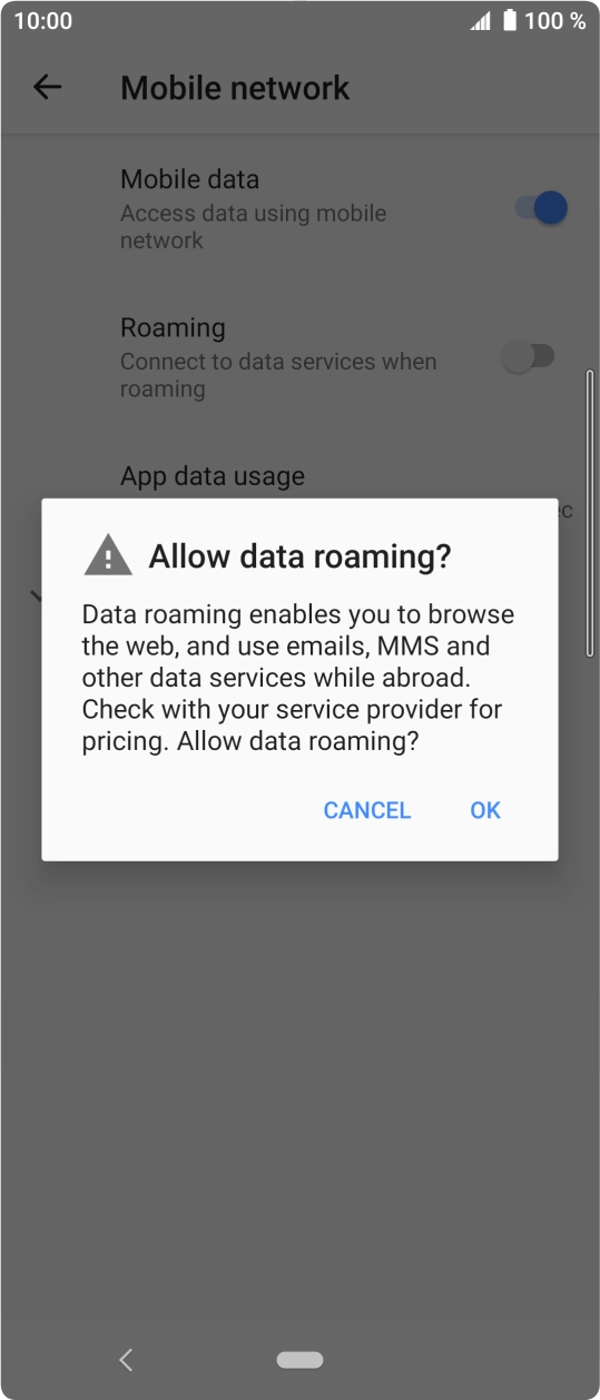 If you turn on data roaming, press OK. If you turn on data roaming, press OK.