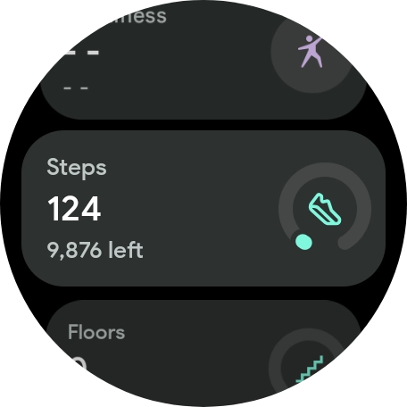 The number of steps for the day is displayed below Steps. The number of steps for the day is displayed below Steps.
