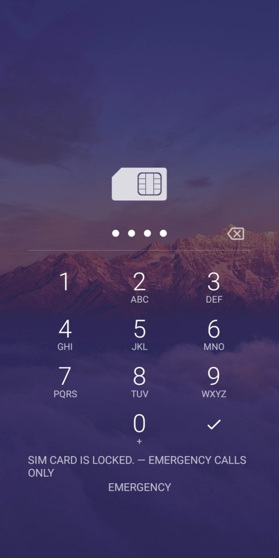 Key in your SIM PIN and press the confirm icon. The default SIM PIN is 0000.