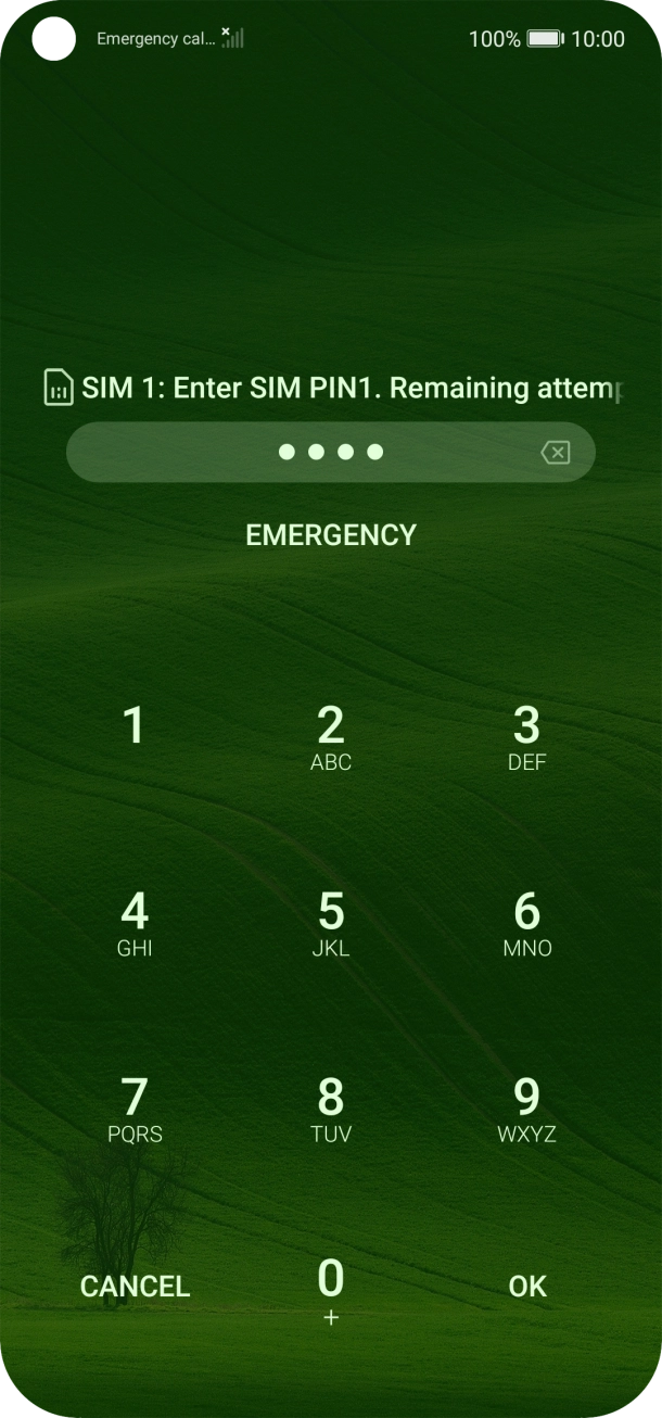 Key in your SIM PIN and press OK. The default SIM PIN is 0000.