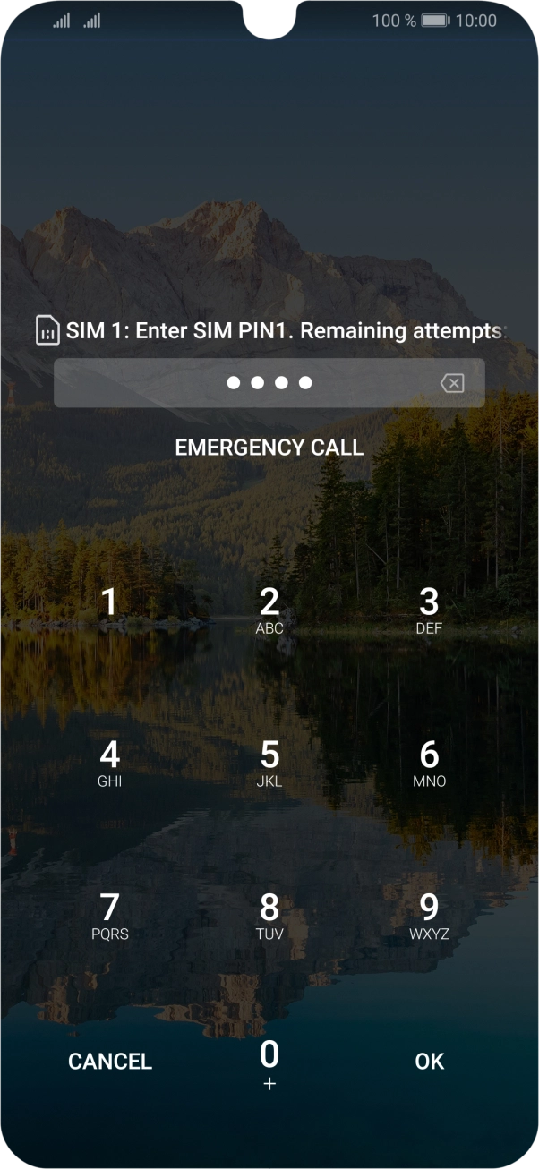 Key in your SIM PIN and press OK. The default SIM PIN is 0000.