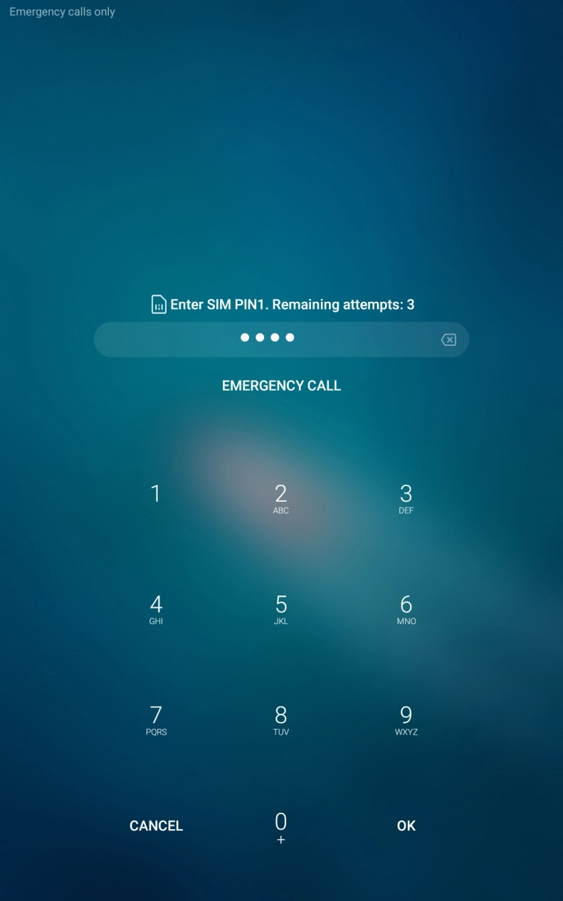Key in your SIM PIN and press OK. The default SIM PIN is 0000.