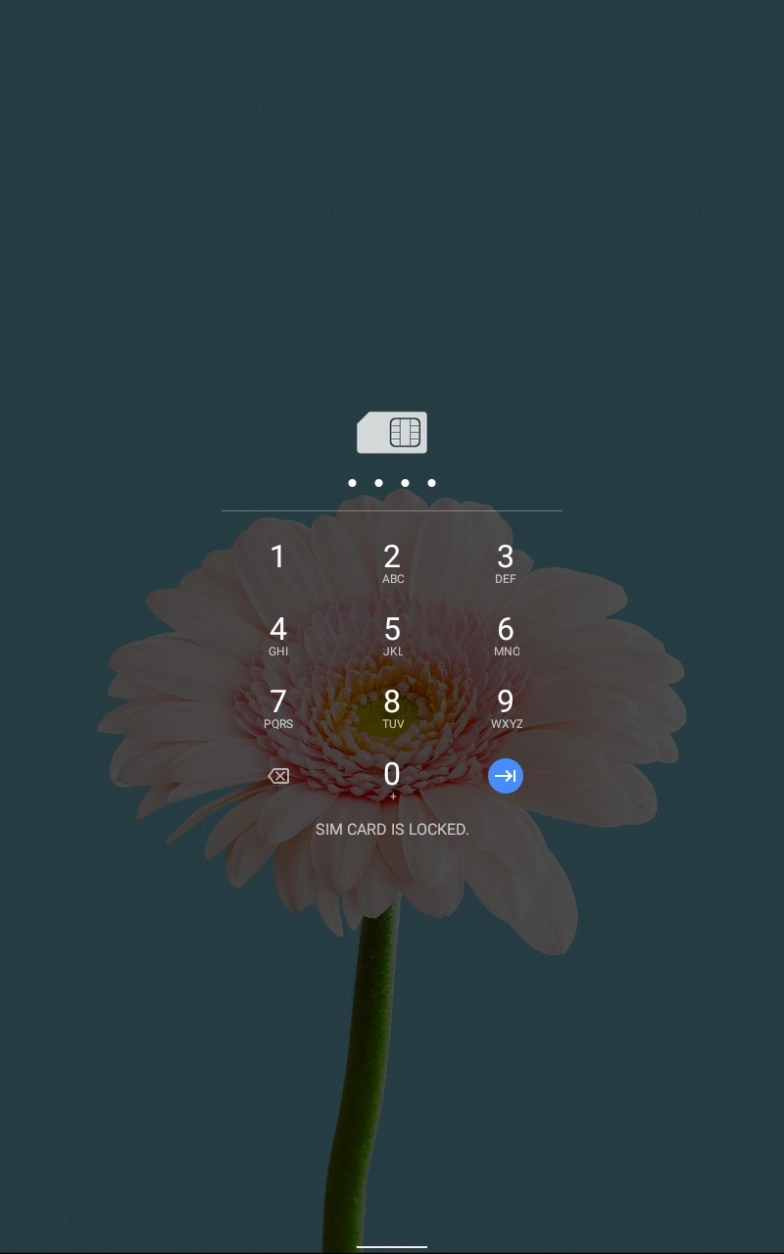 Key in your SIM PIN and press arrow right. The default SIM PIN is 0000.