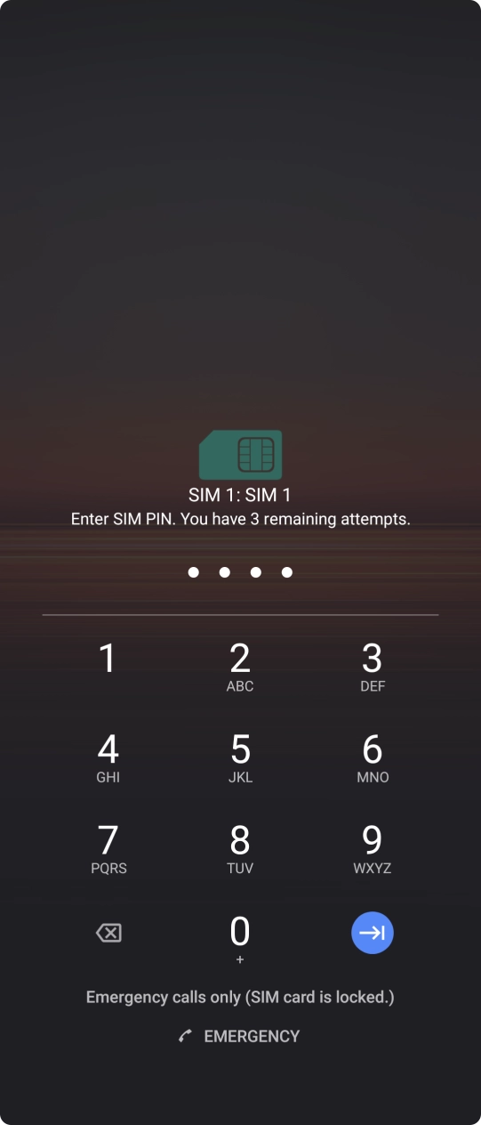 Key in your SIM PIN and press the confirm icon. The default SIM PIN is 0000.
