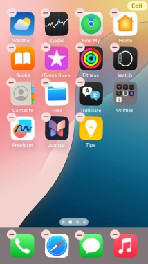 Press the home screen page icon.