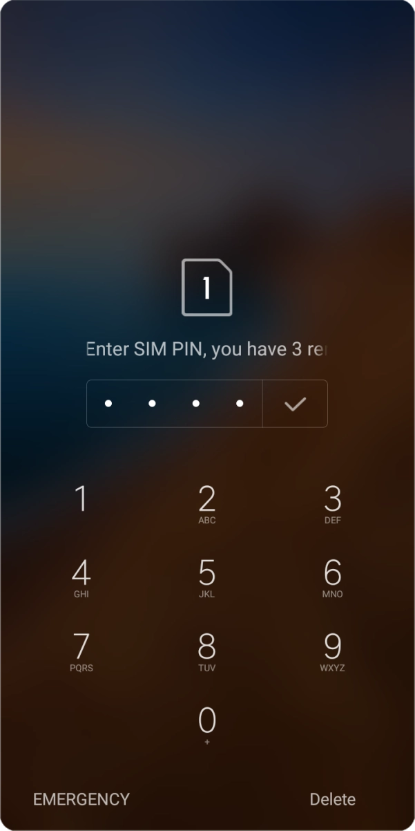 Key in your SIM PIN and press the confirm icon. The default SIM PIN is 0000.