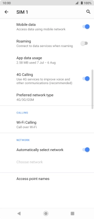 Press Preferred network type.