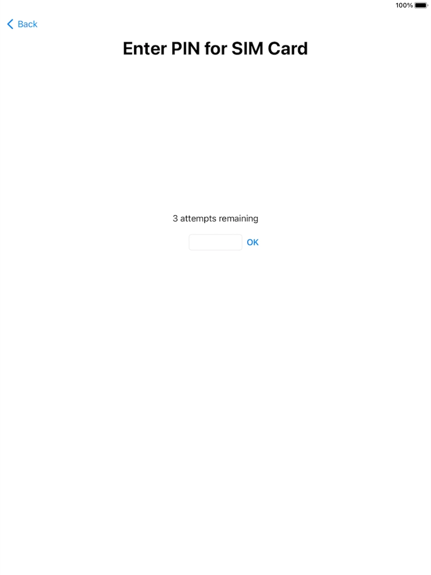 Key in your SIM PIN and press  OK. The default SIM PIN is 0000.
