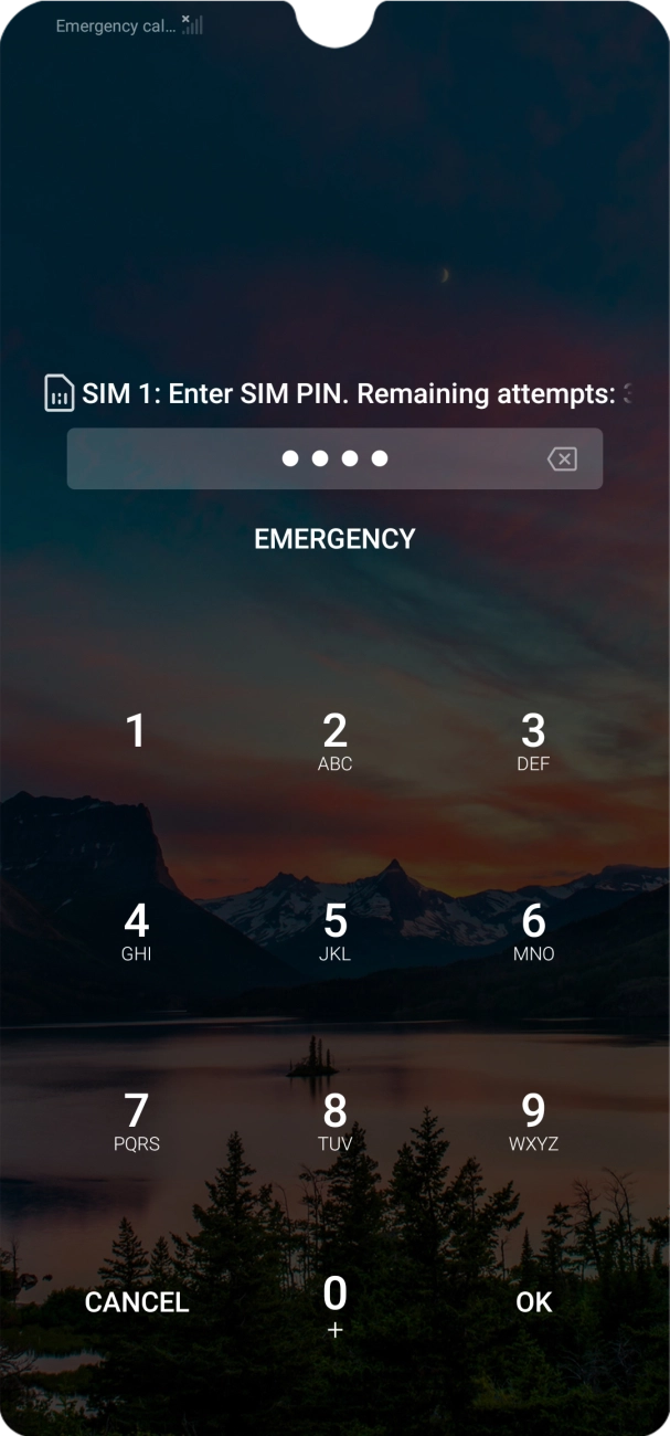 Key in your SIM PIN and press OK. The default SIM PIN is 0000.