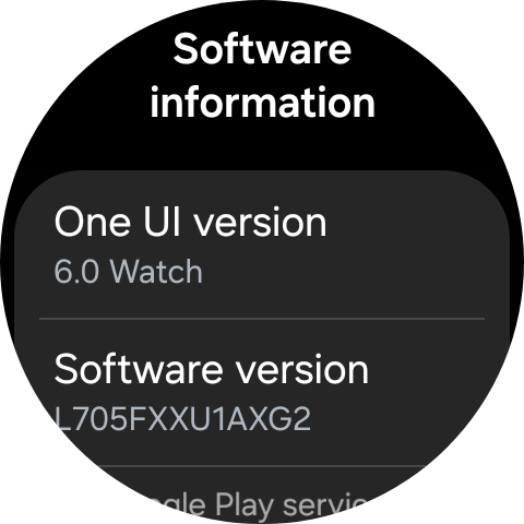 The software version of your smartwatch is displayed below Software version.