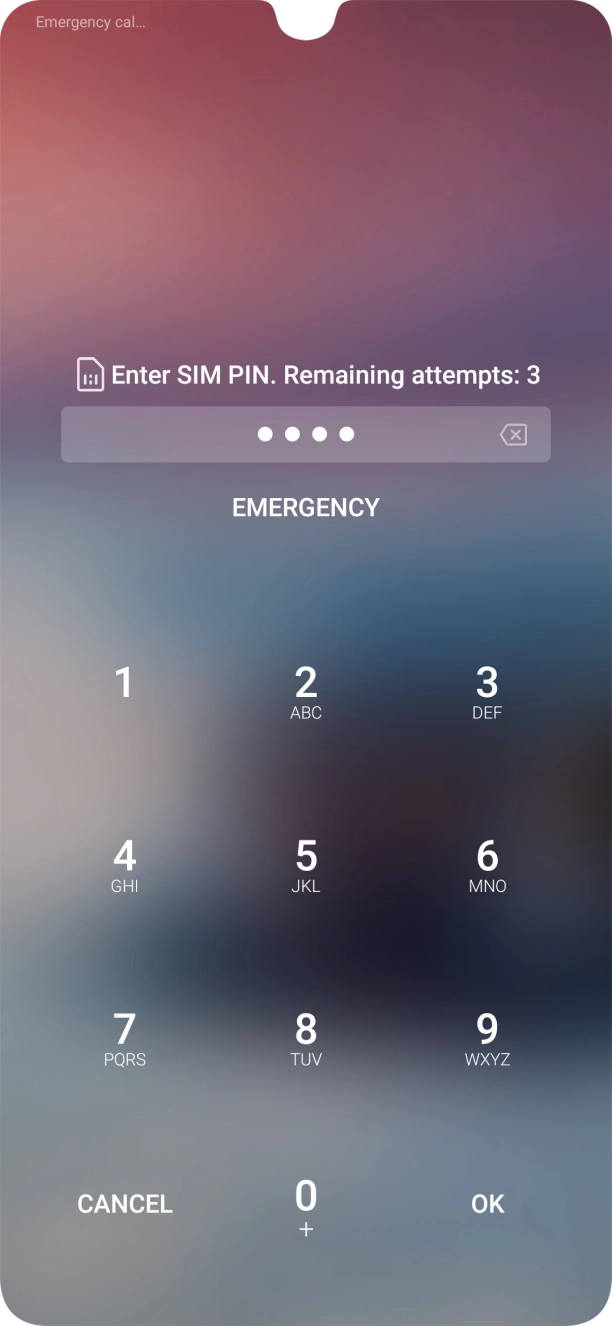 Key in your SIM PIN and press OK. The default SIM PIN is 0000.