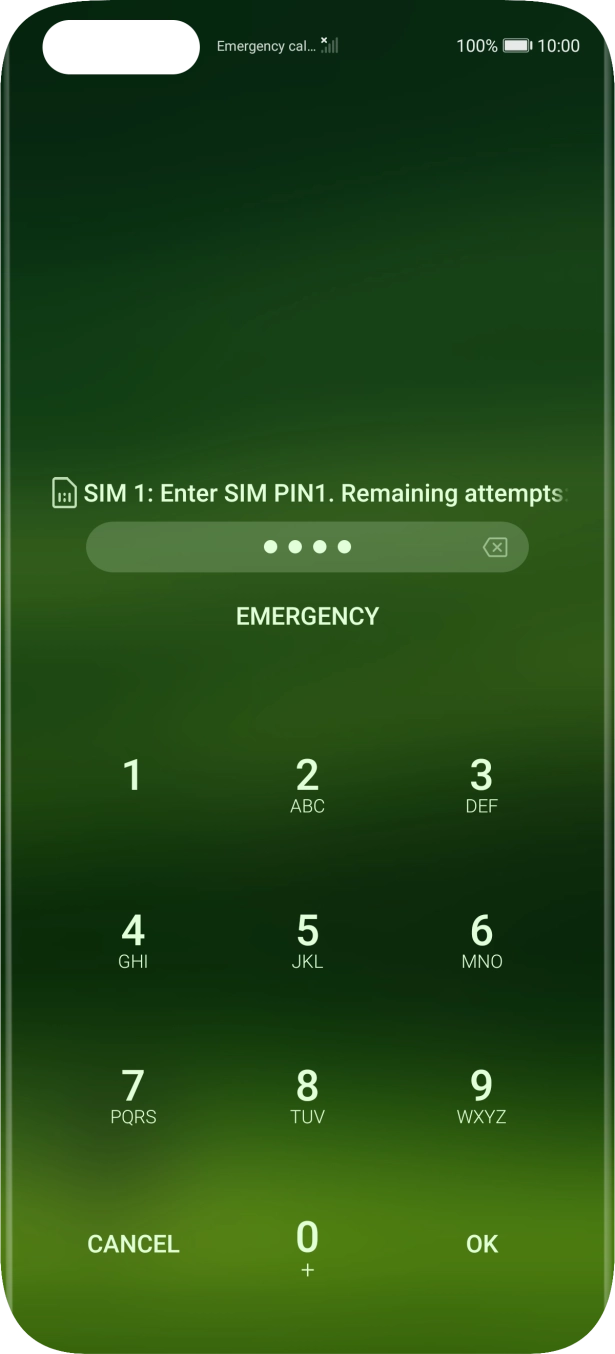 Key in your SIM PIN and press OK. The default SIM PIN is 0000.