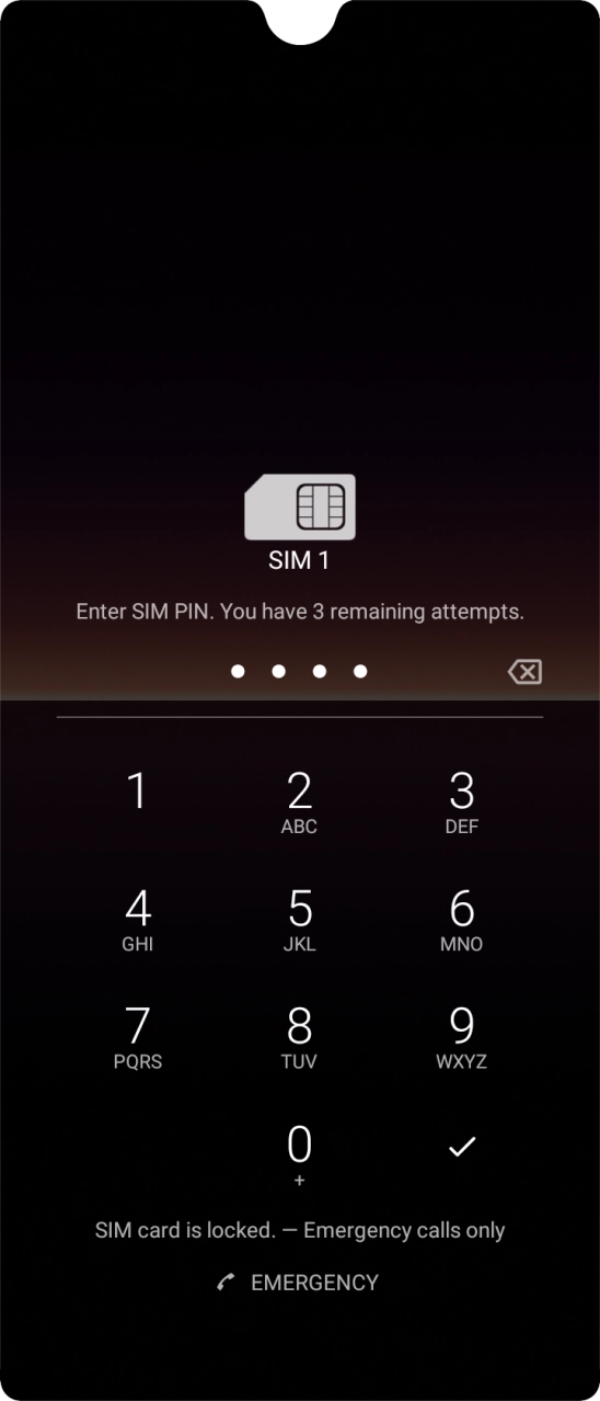 Key in your SIM PIN and press the confirm icon. The default SIM PIN is 0000.