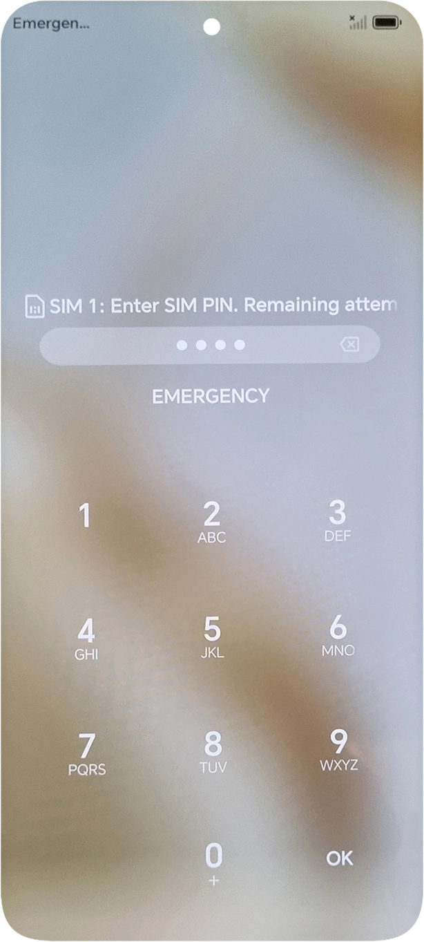 If you're asked to key in your SIM PIN, do so and press OK. The default SIM PIN is 0000.
