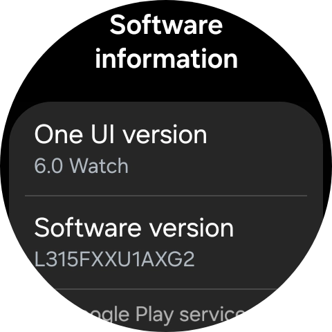 The software version of your smartwatch is displayed below Software version.
