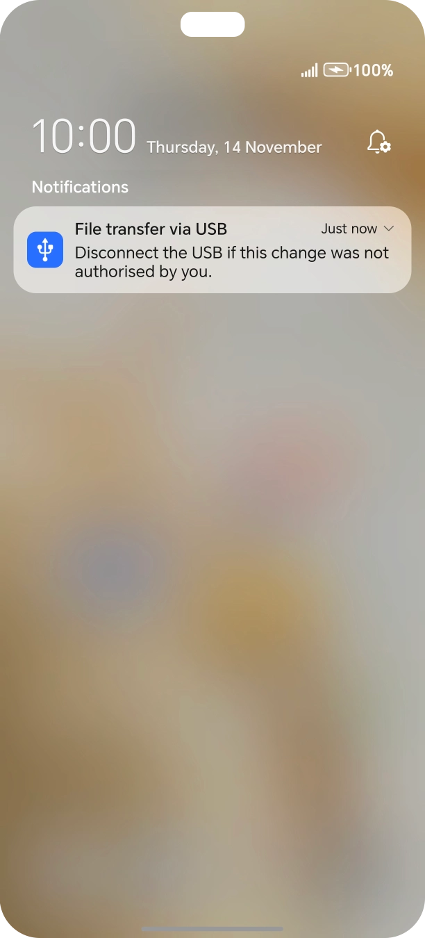 Press File transfer via USB.