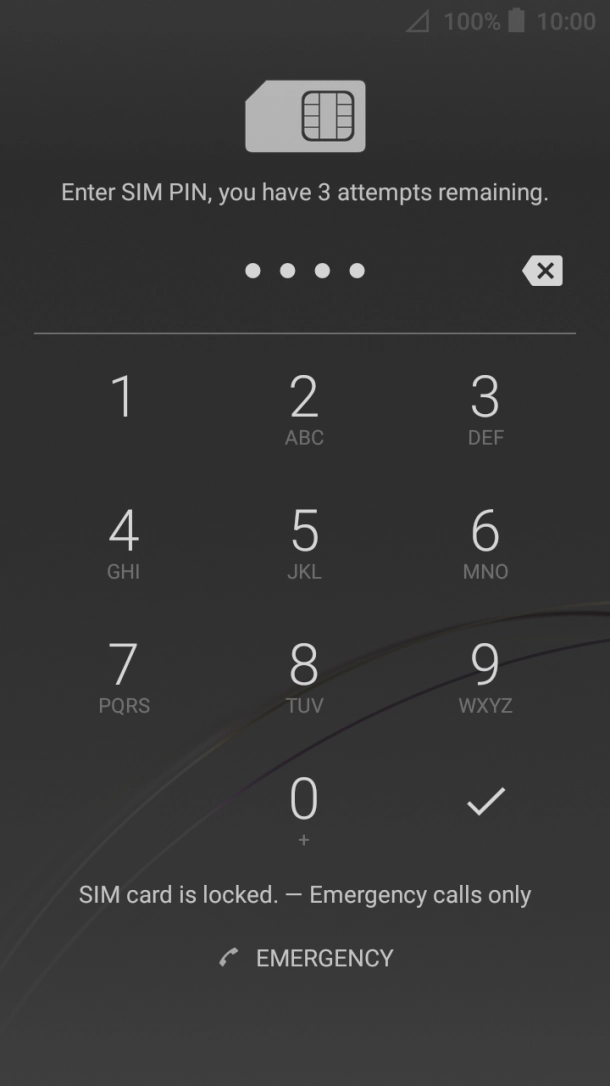 Key in your SIM PIN and press the confirm icon. The default SIM PIN is 0000.