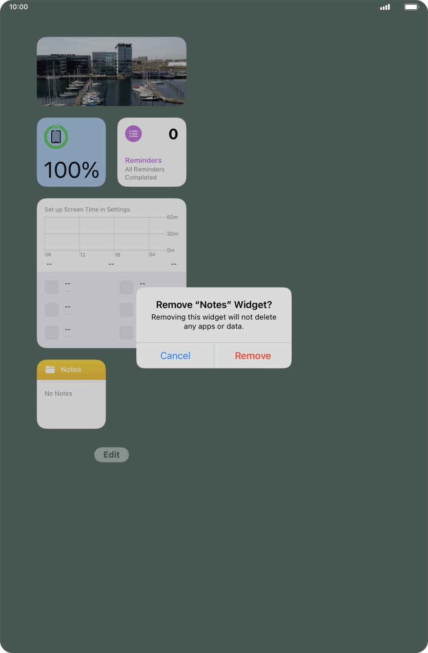 Press Remove. Press Remove.