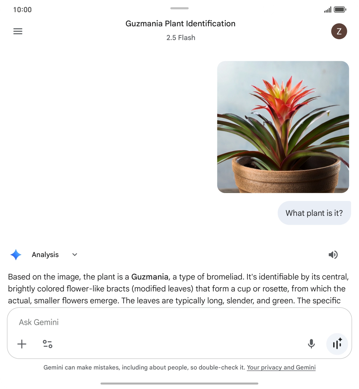 Follow the instructions on the screen to type or speak the required question. You can also attach pictures or documents and ask questions to them.