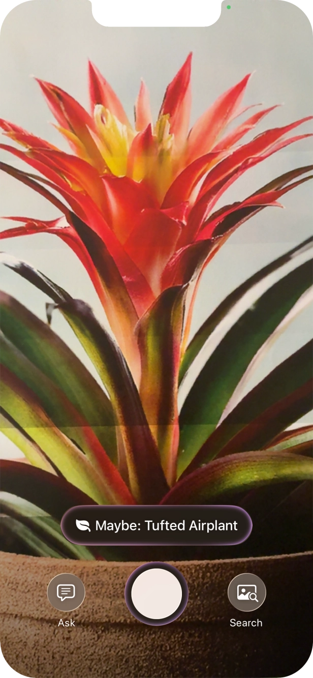 For information about animals and plants, press the information field.