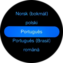 Prima o idioma pretendido.