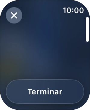 Prima Terminar.