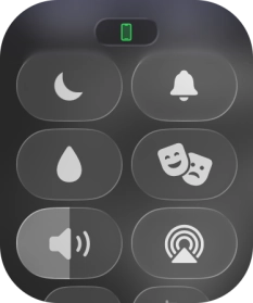 Press the Do Not Disturb icon to turn the function on or off.
