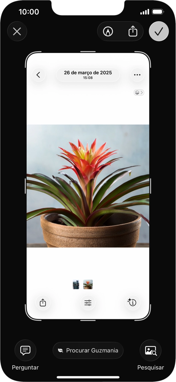 Para utilizar a inteligência a partir de uma captura de ecrã, obtenha uma captura de ecrã e siga as indicações no ecrã, para utilizar a função.