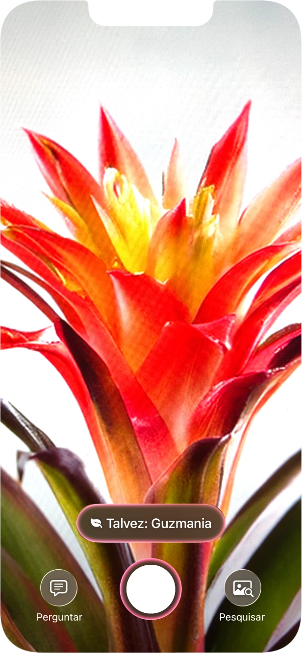 Para obter informação acerca de animais e plantas, prima o campo de informações.