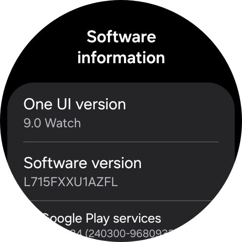 The software version of your smartwatch is displayed below One UI version. The software version of your smartwatch is displayed below One UI version.