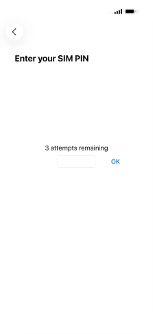 If your SIM is locked, key in your SIM PIN and press OK. The default SIM PIN is 0000.