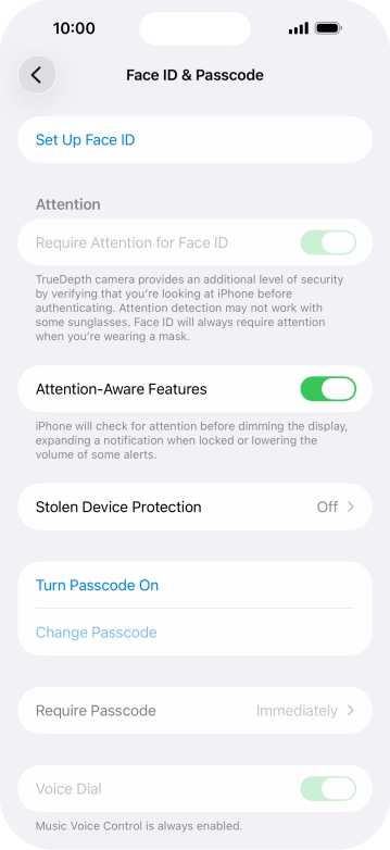 Press Turn Passcode On and key in a lock code of your own choice twice.