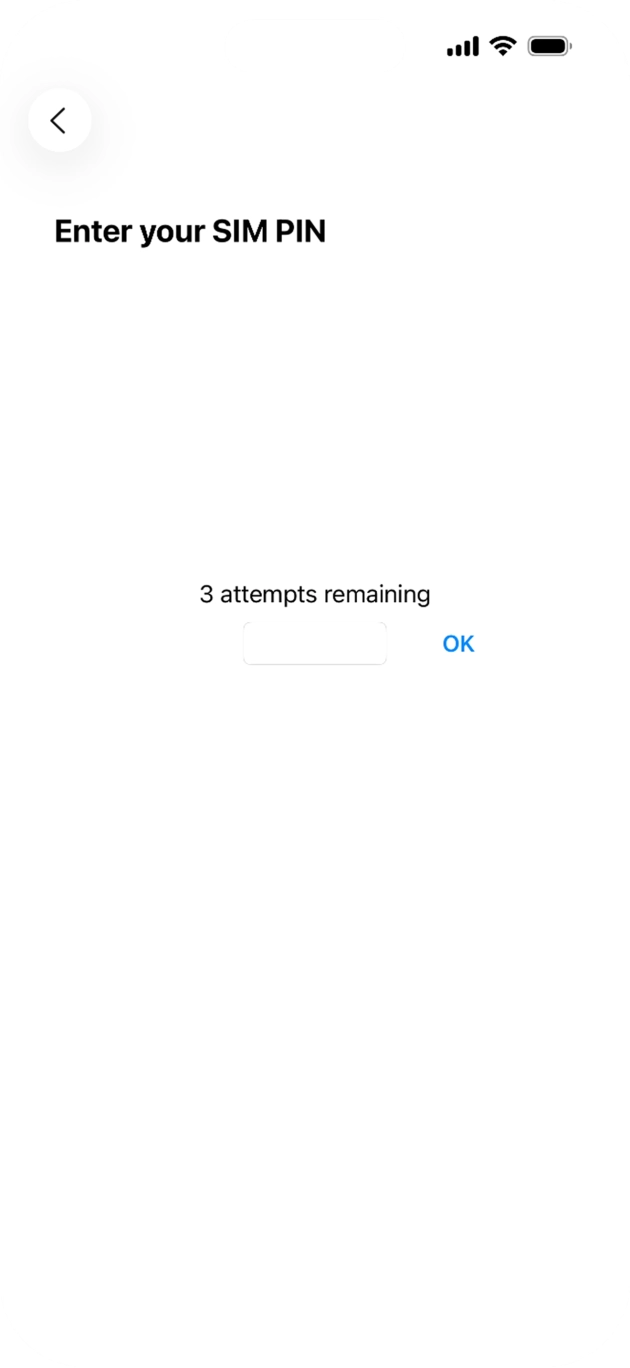 If your SIM is locked, key in your SIM PIN and press OK. The default SIM PIN is 0000.
