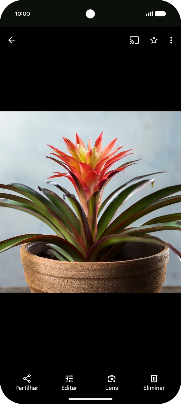 Dirija-se à imagem pretendida.