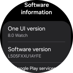 The software version of your smartwatch is displayed below Software information.