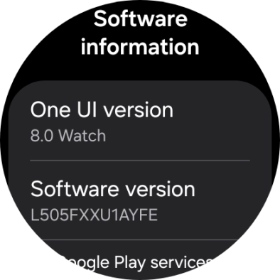 The software version of your smartwatch is displayed below Software information.