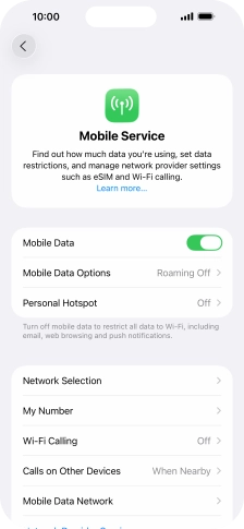 Press Mobile Data Options.