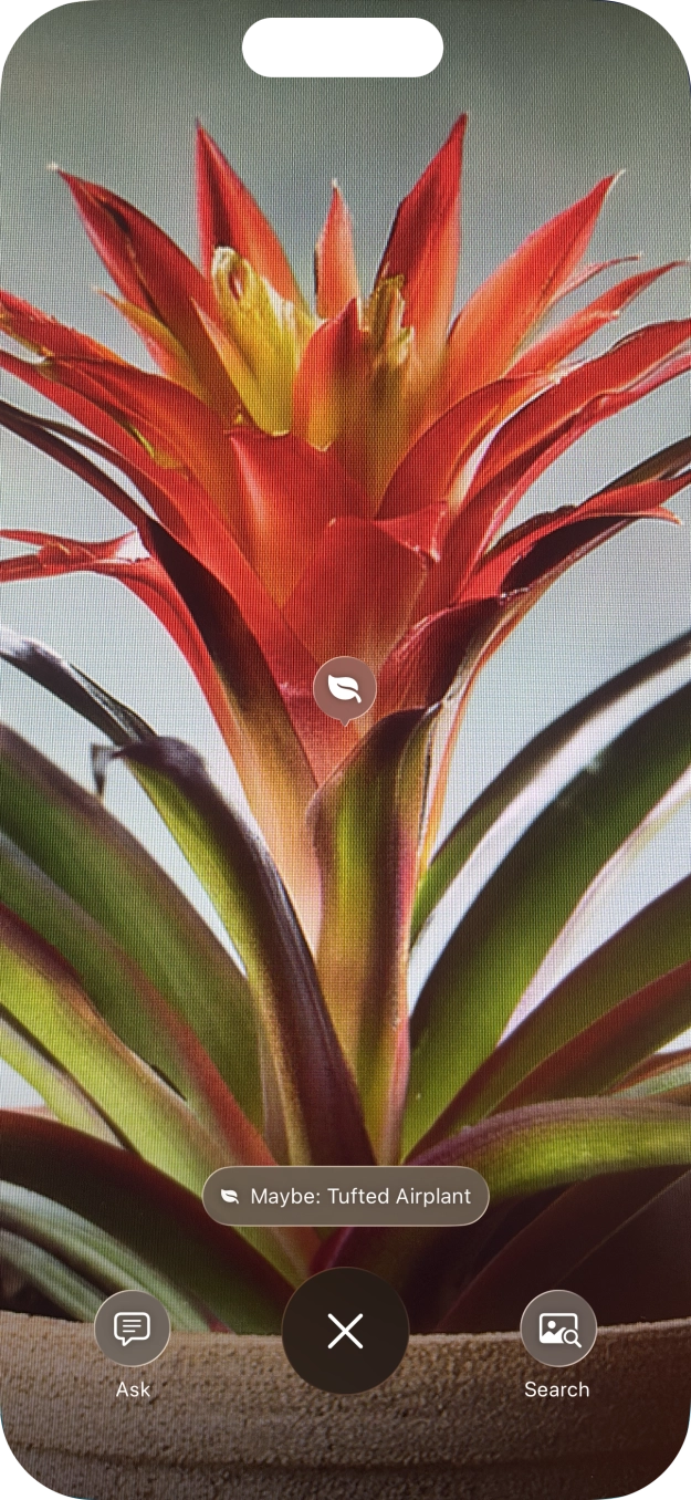 For information about animals and plants, press the information field. For information about animals and plants, press the information field.