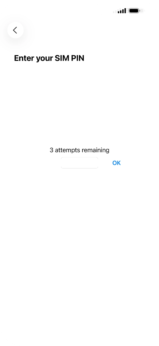 If your SIM is locked, key in your SIM PIN and press OK. The default SIM PIN is 0000.
